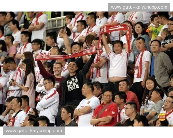 权健与申花的绿茵史诗：一场关于荣耀与坚持的极致对决